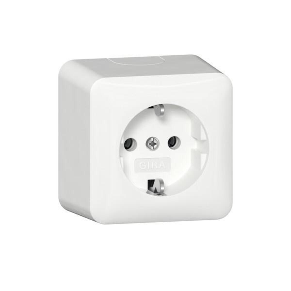 Gira SCHUKO-Steckd.+Montagepl. 444013 Image