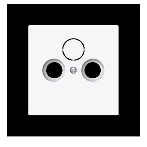 Busch-Jaeger Zentralscheibe 1743-44G 2CKA001724A4432 Image