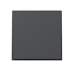 Gira Wippe gerade 349667 Image