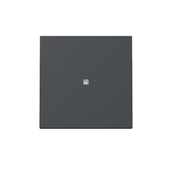 Gira Wippe Kontrollf. 329028 Image
