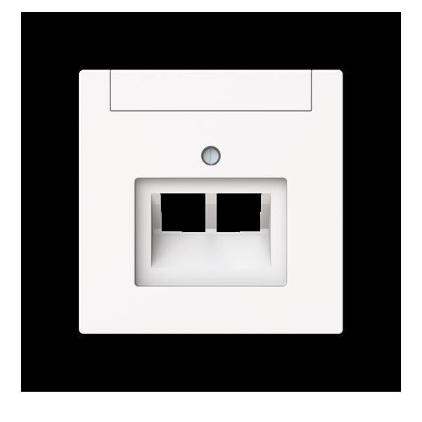 Busch-Jaeger Zentralscheibe 2-fach, UAE 1803-02-44M 2CKA001710A4228 Image