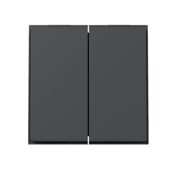 Gira Wippe 2f 329567 Image