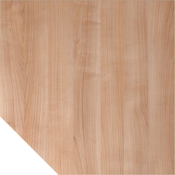 Hammerbacher Verkettungsplatte trapezform 120x120cm mit Fuß Nussbaum/Weiß Image