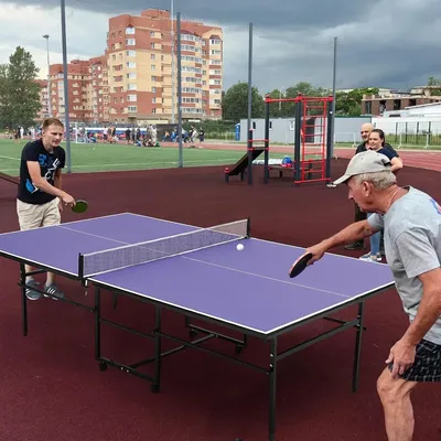 Professional Outdoor Table Tennis Tables 9 ft portable Ping Pong Table Game with Net 2 Table Tennis