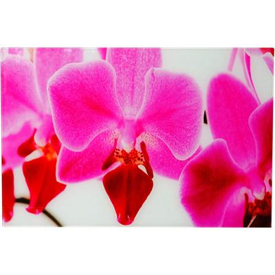 Hegele - Glasbild T117, Wandbild Poster Motiv, 40x60cm Orchidee