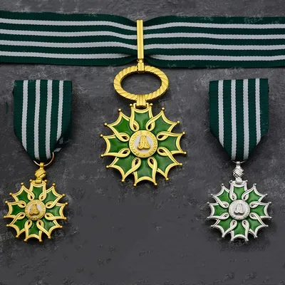 Französische Kunst-und Literatur medaille, Commander Officer Knight Level Honor Legion, Disting Image