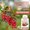 Berberine Capsules Healthy Immune System, Digestive Health, Cholesterol, Heart Health Supplement,