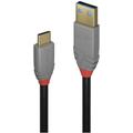 Cavo usb usb 3.2 Gen2 (usb 3.1 Gen2) Spina usb-c®, Spina usb-a 0.50 m Nero, Grigio 36910 - Lindy