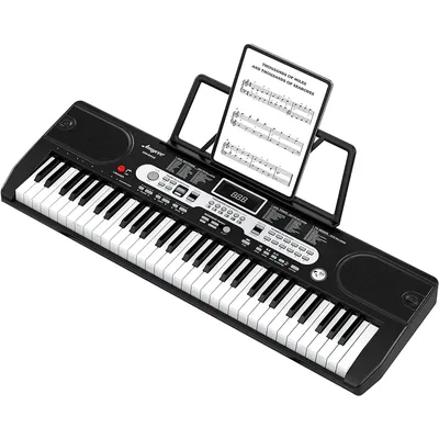 61 Key Keyboard Piano, Portable Electric Piano Keyboard with Microphone and Headphone Mode, Full