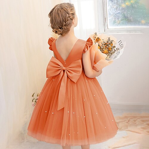 Blumenmädchenkleid Kinder Mädchen Prinzessinenkleid Leistung Hochzeit Party Elegant Schön Gitter Feste Farbe Ärmellos Rundhalsausschnitt Hellrosa Grau 4 Jahre Image