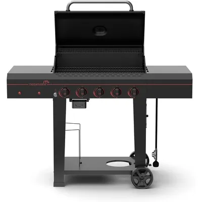 720-0982 5 Burner Propane Barbecue Gas Grill, Side Shelves with Hooks, for Outdoor Cooking, Patio,