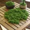 Mini Landscape Fake Grass Eternal Artificial Green Moss DIY Crafts Home Living Room Garden Grass