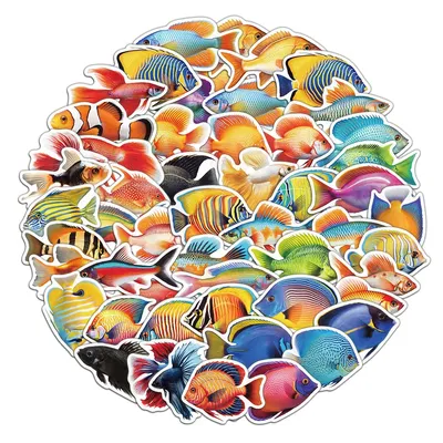 50 Stück Cartoon Tier Fisch Aufkleber niedlichen bunten Handy hüllen Handbücher Laptop Desktop Image