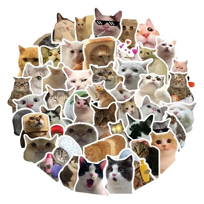 50 Stück niedliche Katze Aufkleber Vinyl wasserdicht lustige Katzen Aufkleber für Wasser flasche Laptop Skateboard Scrap book Gepäck Kinderspiel zeug Image