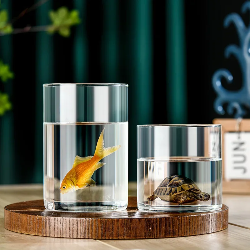 1pc Transparente Vasen Pflanze Flasche Blumentopf Hydrokultur Terrarium Anordnung Container Ökologische Flasche Hause Hochzeit Dekore Image