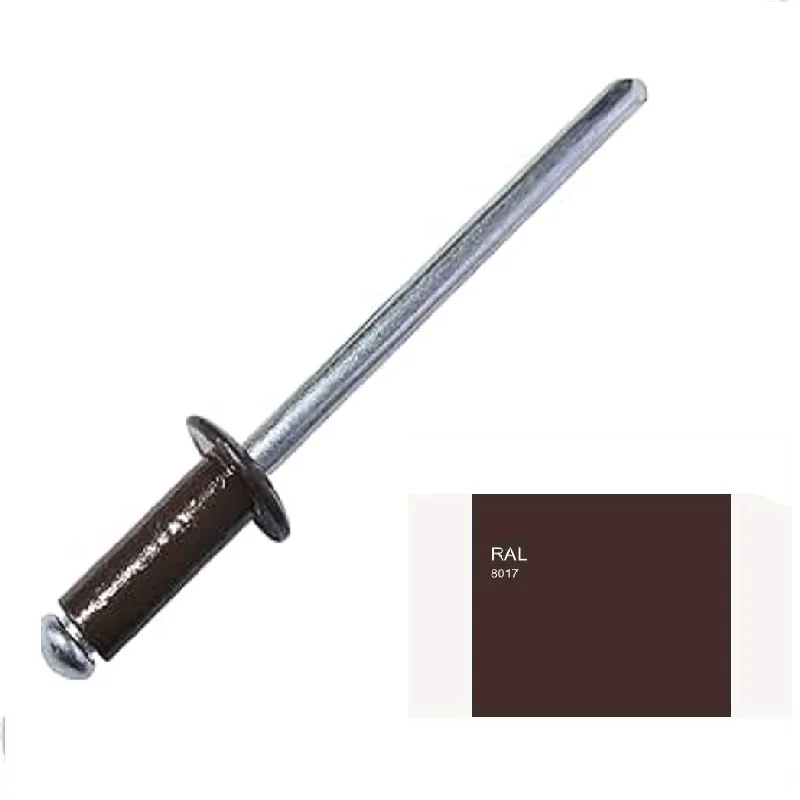 50PCS RAL8017 Braun Lackierte Blind Nieten Aluminium Stahl Lackierte Nieten Farbige Blind Nieten DIY Hause Verschluss Befestigung 1/8" Image
