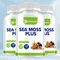 Sea Moss - Helps Immune System ,Joint Health Intestinal Cleansing - 120 Capsules