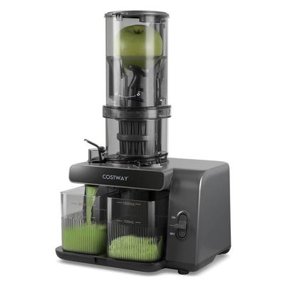 Costway Cold Press Juicer Machine Professional Slow Masticating Juicer - See Details