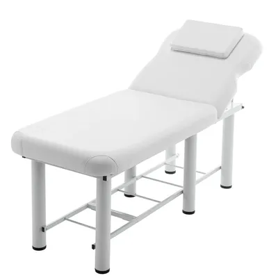 LZBEITEM Professioanl Massage Table, Backrest Adjustable, Removable Headrest, Bottom Shelf Storage,