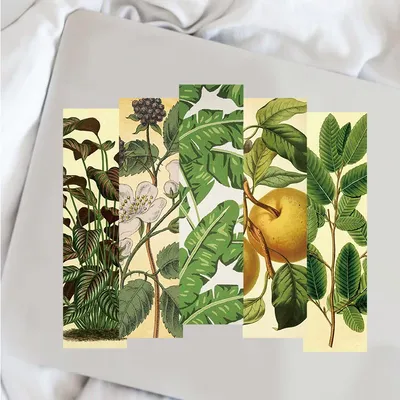 30 Stück leicht besch wipst Grün Lesezeichen Wohnzimmer Graffiti kreative Laptop Gepäck Skateboard Papier Geschenke Cartoon Lesezeichen Image
