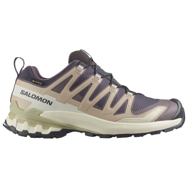 Salomon - Women's XA Pro 3D V9 GTX - Multisportschuhe 40 2/3 | EU 40 beige