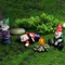Décorations d'accessoires de jardin féerique, Figurines miniatures de Gnomes de jardinage, Mini Kit