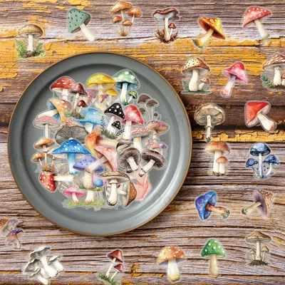 50PCS Farbe Pilz PET Graffiti Aufkleber Transparent Wasserdicht Öl Beständig Material Künstlerische Image