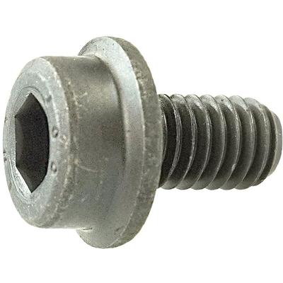 Zylinderschraube mit Innensechskant und Flansch 10x30mm verzinkt - Reidl Image