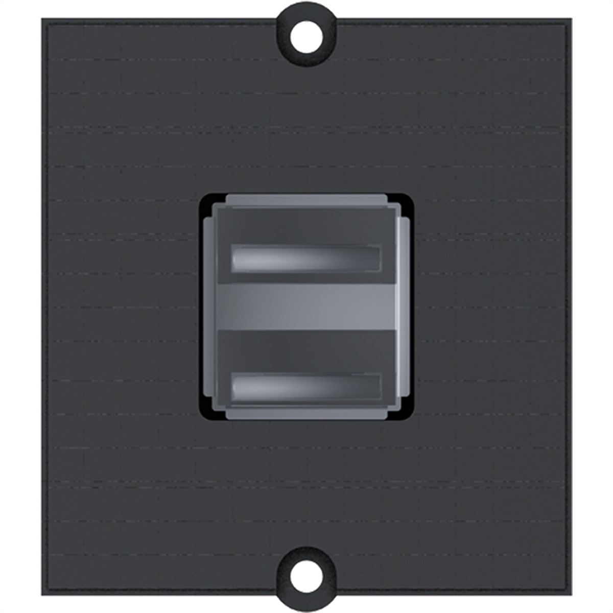 BACHMANN Rahmen 2xUSB A Schraubklemme Image