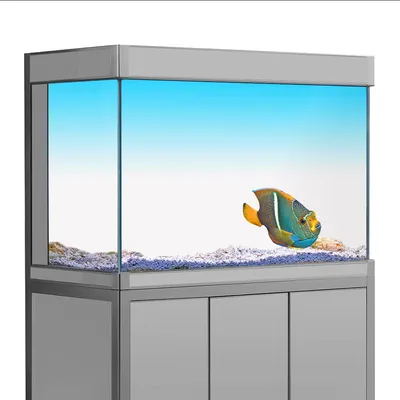 Fish Tank Background Sticker White Yellow Green Blue Cyan Gradient Simple Printing Wallpaper