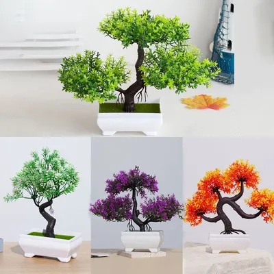 Flowers+Plants