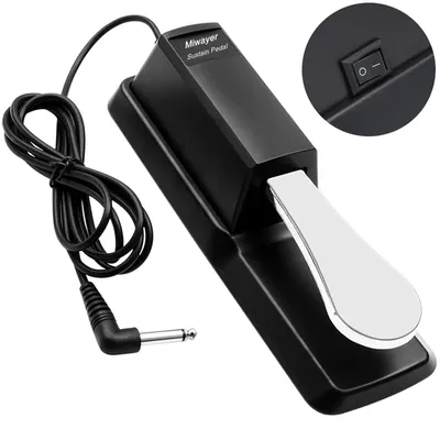 Miwayer Sustain Pedal with Polarity Switch for MIDI Keyboard Synth Digital Pianos Electronic Drum