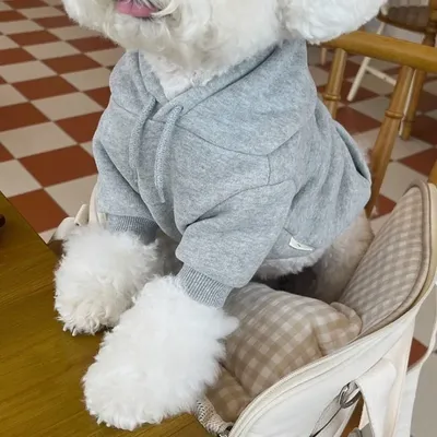 Pet+Costumes