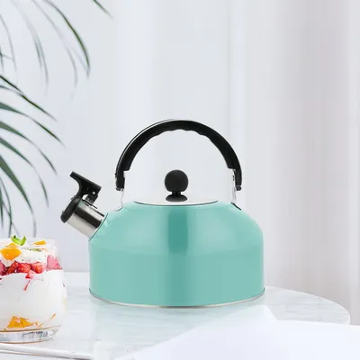 410 Stainless Steel Whistle Thermal Kettle Induction Cooker Heating Teapot for Portable Trips