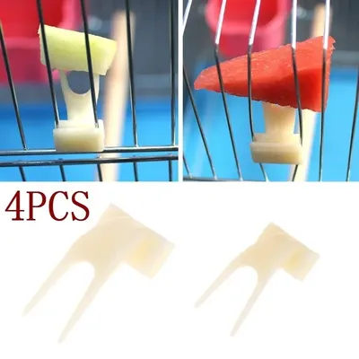 Bird+Supplies