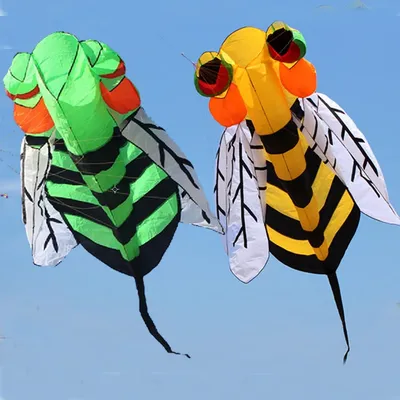 Outdoor Fun Sports For Adults 3m/4m Single Line Power Software Animal Hornet Bee Kite With