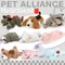 11 Halloween dog toys, plush dog toys with heartbeat, dog birthday gifts, rich dog educational toys,