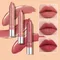Bright Lipstick Easy to Color Lipstick Color Moisturizing Lip Gloss Easy to Color Lip Glaze Rotating Bright Lipstick Pen Lip Gloss Lipstick European and American Style Nude Brown Red Pink Lipstick