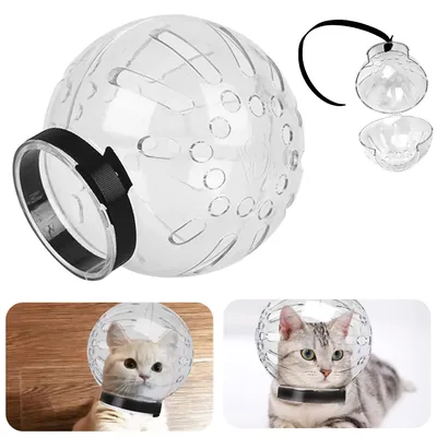 Cat+Supplies