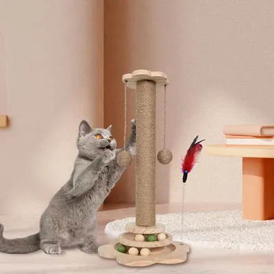 Cat+Supplies