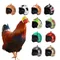 Chicken Helmet Interesting Pet Protection Bird Duck Quail Safety Helmet Bird Helmet Diy Cartoon Pattern Hen Helmet Pet Supplies