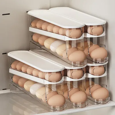 Double Layer Rolling Egg Dispenser Refrigerator Egg Storage Box Automatic Scrolling Egg Holder