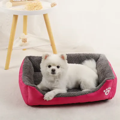 Small+Pet+Supplies