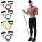 Resistance Bands With Handles, Exercise Bands, Workout Bands With Handles For Men Women, Strength