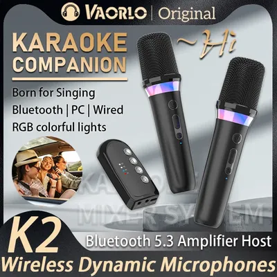 New DS-K2 Karaoke Companion Bluetooth Wireless Moving-Coil Microphone With RGB Light KTV DSP Mixer