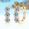 925 Silver Earrings 18k Gold Plated Full Moissanite Hoops Classic Huggie Earring for Woman Jewelry