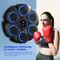 Music Boxing Machine Boxing Reaction Wall Target Type C Charging Bluetooth-Compatible Boxing Machine