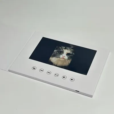 Greeting+Cards