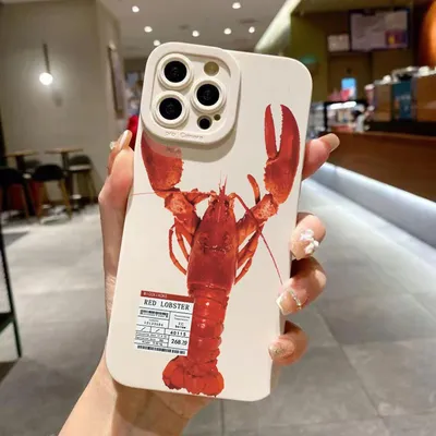 Pupil Full Screen Case For iPhone 16 15 14 13 12 11 X XR Xs SE2 SE 8 7 Plus Pro Max Mini Lobster Cat