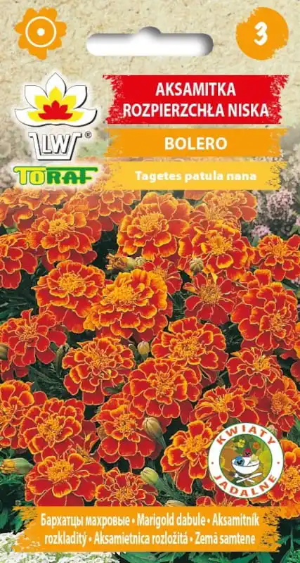 Samt verstreute Bolero-Samen 1g Toraf-Blumen samen Image